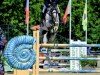 jumper Lalluccia T (Belgian Warmblood, 2011, from Calluccio)