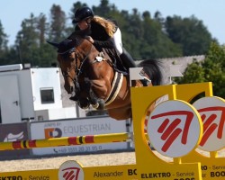 jumper Lastana 3 (German Sport Horse, 2018, from Larimar)