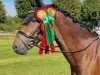 dressage horse Chilli Pepper 11 (German Riding Pony, 2010, from Cyriac WE)