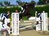 jumper Amber (Swiss Warmblood, 2012, from Acomet)