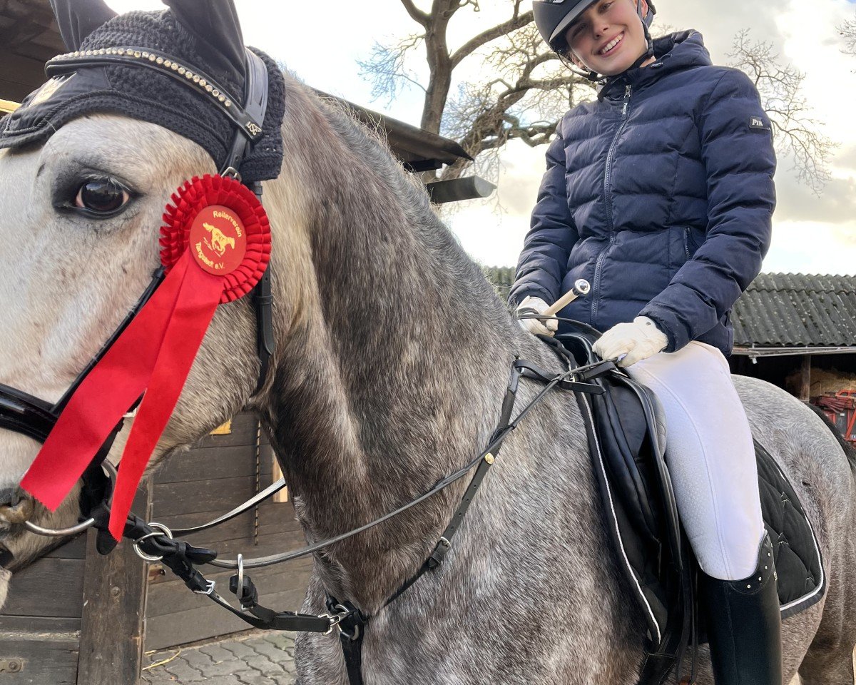 jumper Hector (sonstiges Pony, 2017)