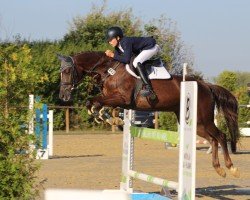 jumper Cinderella 763 (Hanoverian, 2014, from Chippendale)