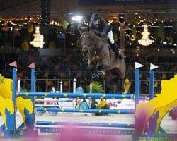 jumper Camillo Ter Wilgen Z (Zangersheide riding horse, 2018, from Cascadello)