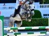 jumper Jonicole (KWPN (Royal Dutch Sporthorse), 2014, from Zacharov Tn)