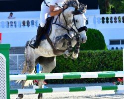 jumper Jonicole (KWPN (Royal Dutch Sporthorse), 2014, from Zacharov Tn)