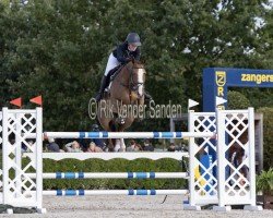 jumper Ballypatrick Zambra (Irish Sport Horse, 2017, from J'taime flamenco)