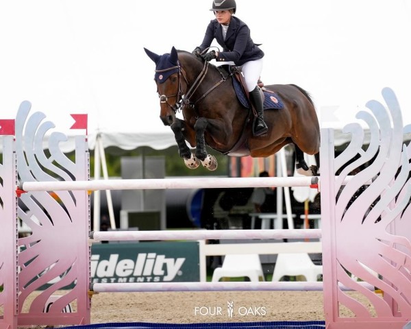 jumper Ogue BT Special (Irish Sport Horse, 2014, from I'm Special de Muze)