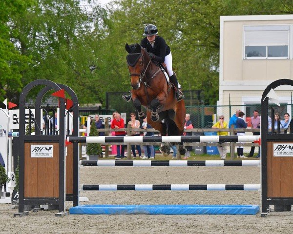 jumper Quintessential Evs (unknown, 2016, from Diktator van de Boslandhoeve)