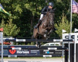 jumper Ristretto vd Heffinck (Belgian Warmblood, 2017, from Aldo du Plessis)