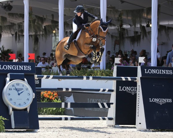 jumper Barla (Oldenburg show jumper, 2004, from Baloubet du Rouet)