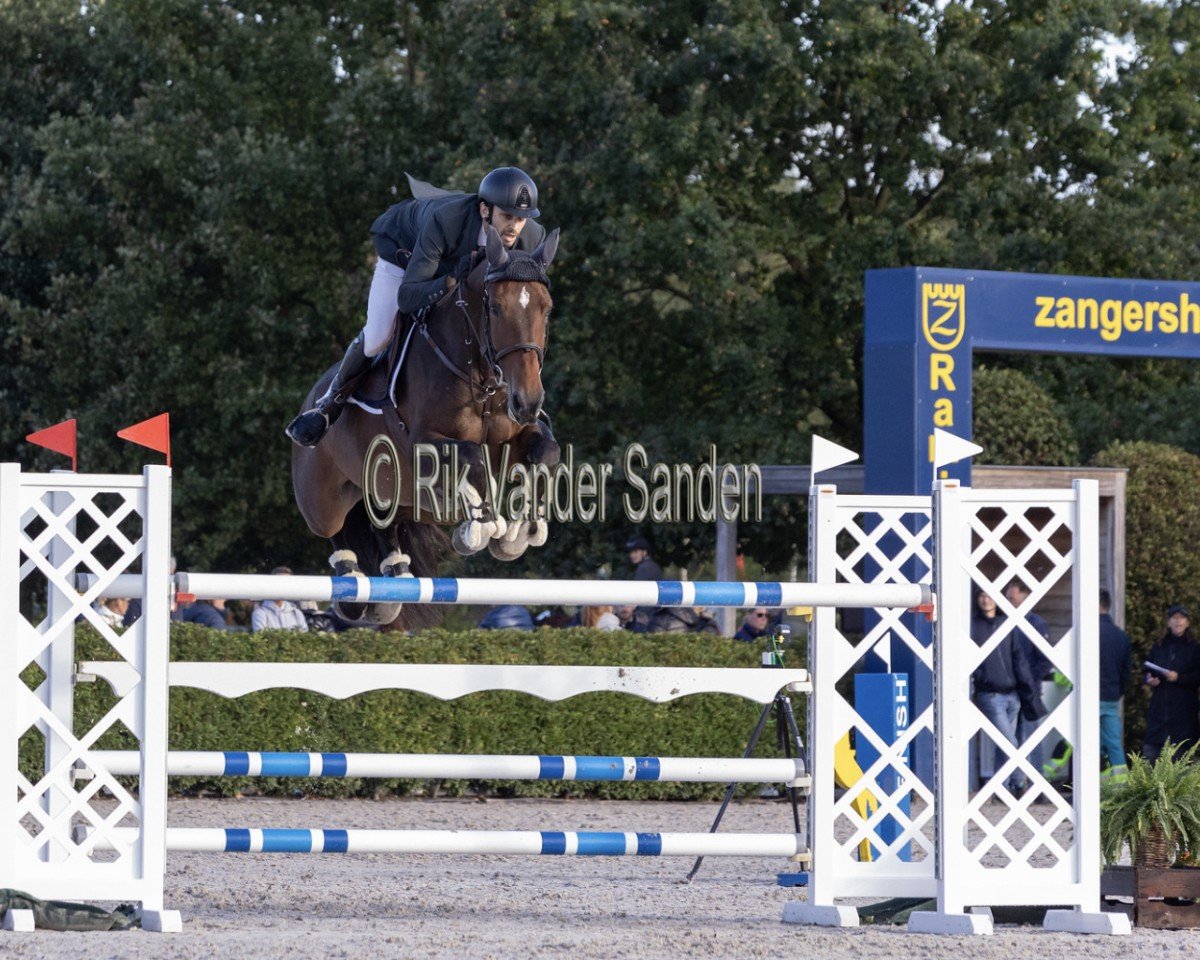 Springpferd M.adermie Rj (KWPN (Niederländisches Warmblut), 2017, von Falaise de Muze)