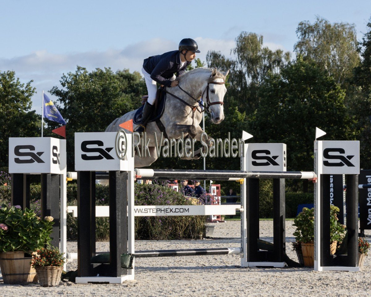 jumper Crazy Star-PP (Polish Warmblood, 2017)