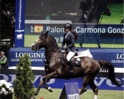 jumper Bizzy Boy van het Gildenhof (Belgian Warmblood, 2001, from Darco)