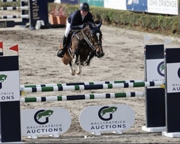 Springpferd Odarina J.D. (KWPN (Niederländisches Warmblut), 2019, von VDL Harley)