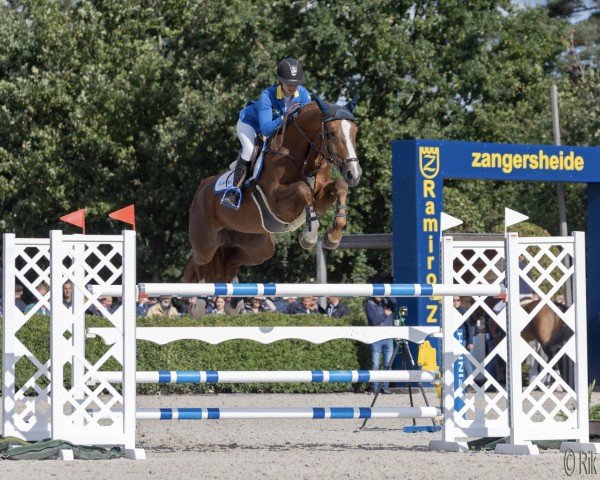 jumper Eclaire Z (Zangersheide riding horse, 2017, from Epleaser van het Heike)