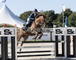 horse Ginger Ale van de Bucxtale (Belgian Warmblood, 2006, from Darco)