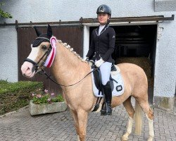 dressage horse Charlotte 233 (Nederlands Rijpaarden en Pony, 2013, from Le Matsjo)