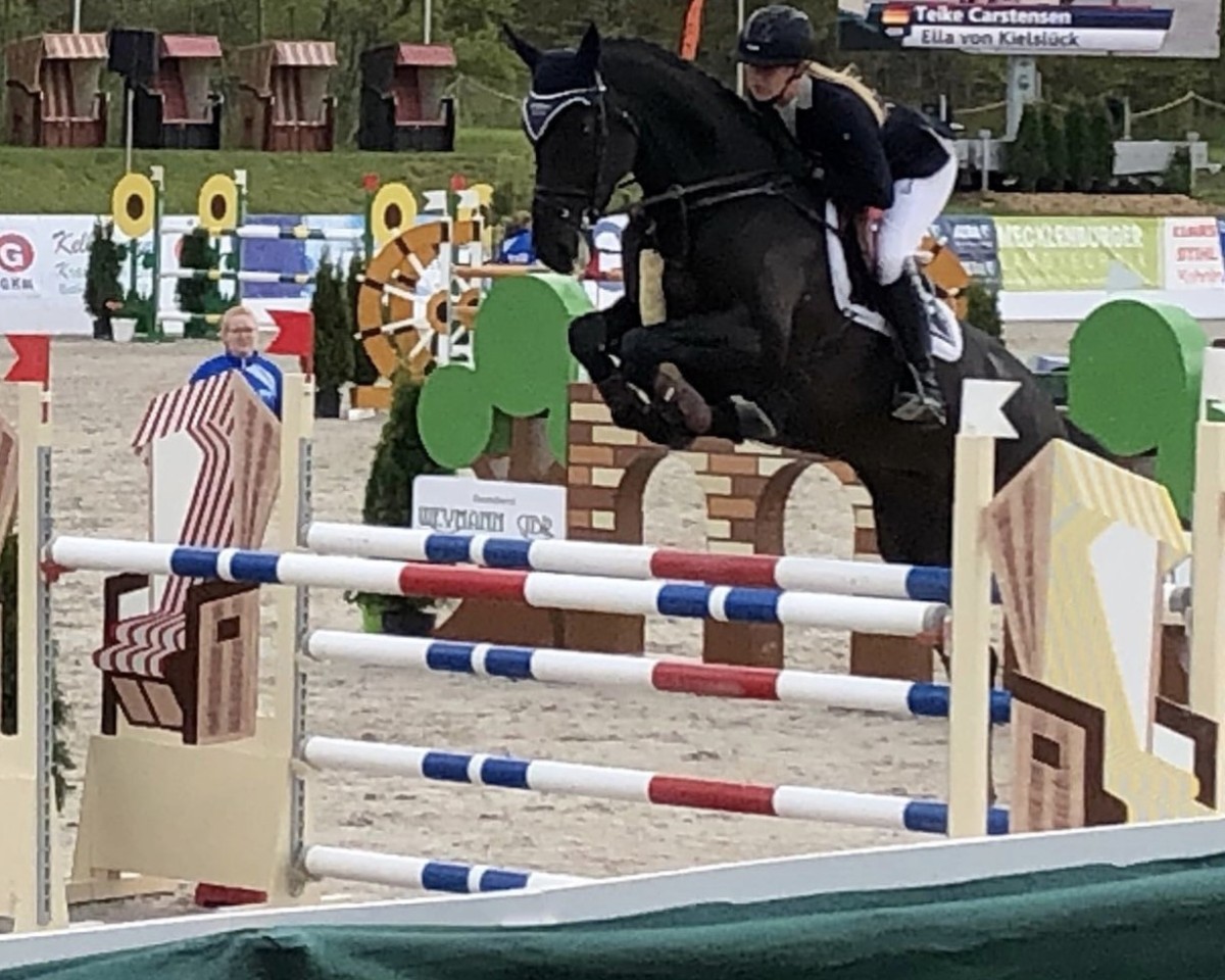Springpferd Ella von Kielslück (Holsteiner, 2012, von Nekton)