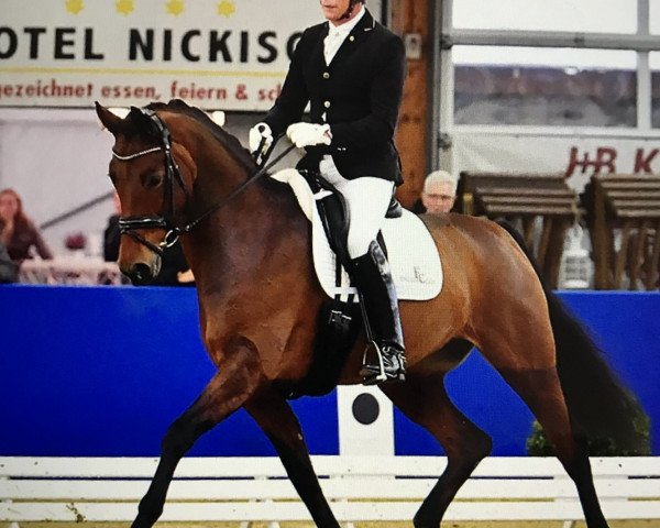 dressage horse La Petite Fleur 11 (Rhinelander, 2012, from Lord Carnaby)