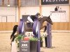 jumper SP Whisper (German Riding Pony, 2006, from Holsteins William)