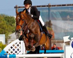 jumper Cornado's Boy Rc (Hanoverian, 2009, from Cornado NRW)