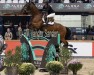 jumper Panamera Sth (Belgian Warmblood, 2015, from Jonsaunier Dwerse Hagen)