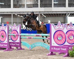 jumper Ekyra Fortuna (KWPN (Royal Dutch Sporthorse), 2009, from Lexicon)