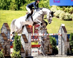 jumper Once Upon A Time des Sens (Belgian Warmblood, 2014, from Colestus)