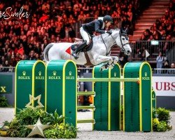 jumper Odiena van Berimar (Belgian Warmblood, 2014, from Kannan)