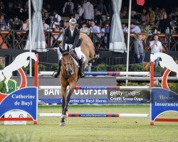 jumper Inoui du Seigneur (Belgian Warmblood, 2014, from Jenson van't Meulenhof)