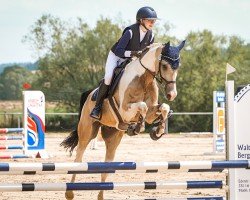 dressage horse World of Colours II GF (German Warmblood, 2017, from Weissgold GF)