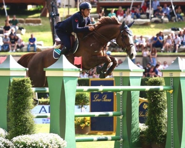 jumper Jorisca (KWPN (Royal Dutch Sporthorse), 2014, from Dantos Hbc)