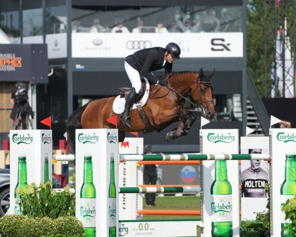 broodmare Tuttifrutti Pommex Z (Zangersheide riding horse, 2015, from Telstar de la Pomme)