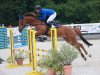 jumper Choy CH (Swiss Warmblood, 2017, from Chiccago K CH)