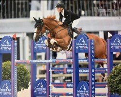 jumper Mojito van't Oordeel (Belgian Warmblood, 2012, from Flamenco de Semilly)