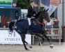 jumper Libelle Asborne Z (Zangersheide riding horse, 2018, from Lector van de Bisschop)