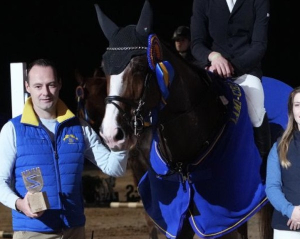 jumper Qoffiekoek de Muze (Belgian Warmblood, 2016, from Mosito van het Hellehof)