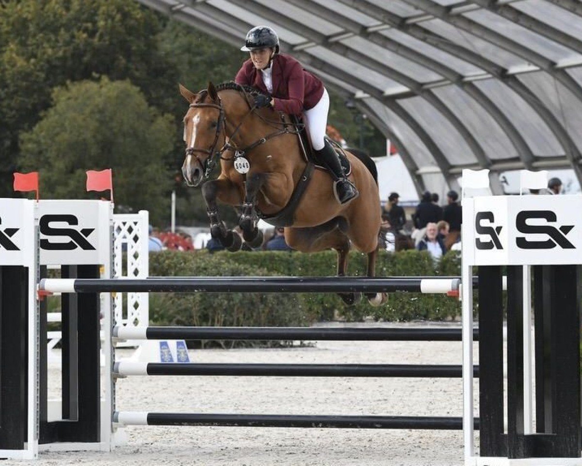 jumper Arizona D'Ive Z (Zangersheide riding horse, 2016, from Arezzo VDL)