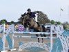 jumper Muna vd Bisschop (Belgian Warmblood, 2012, from Cornet Obolensky)