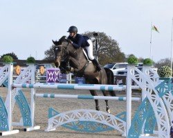 Springpferd Muna vd Bisschop (Belgisches Warmblut, 2012, von Cornet Obolensky)