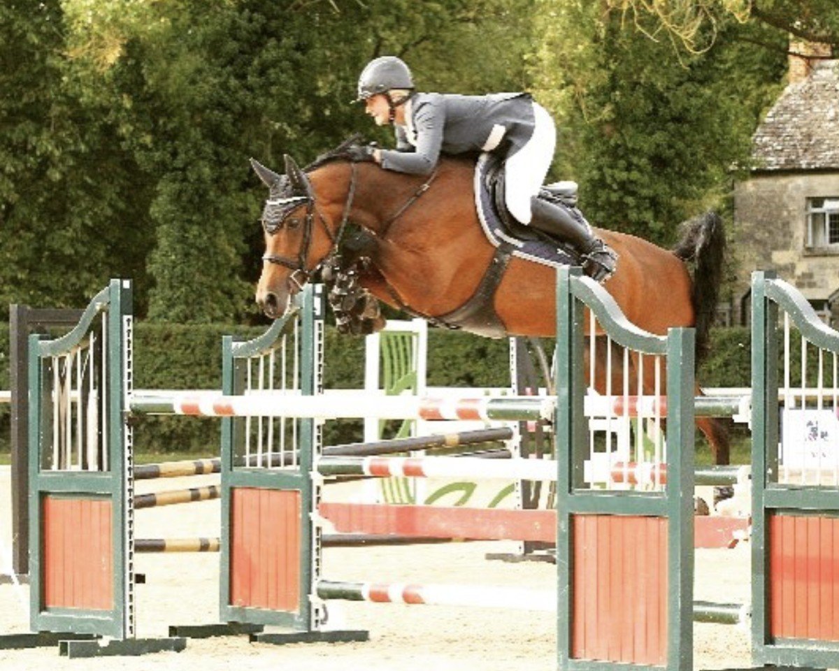 jumper Lady Caretino (anglo european sporthorse, 2008, from Caretino Glory)