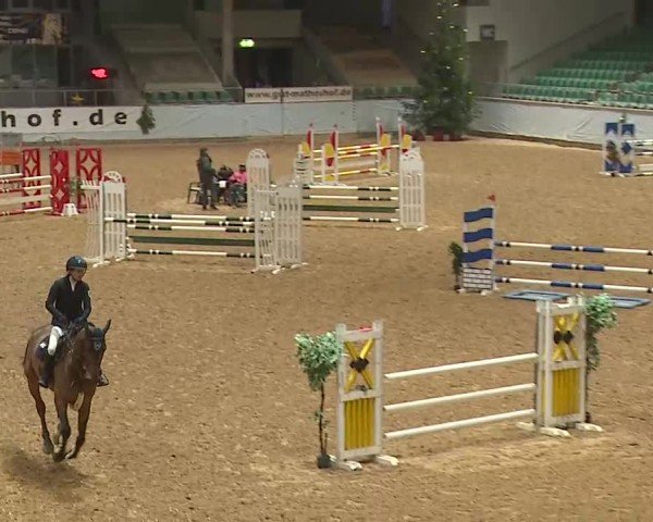 Reitturnier Kreuth/Opf. 2024