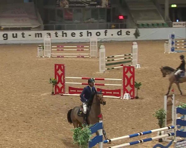 Reitturnier Kreuth/Opf. 2024
