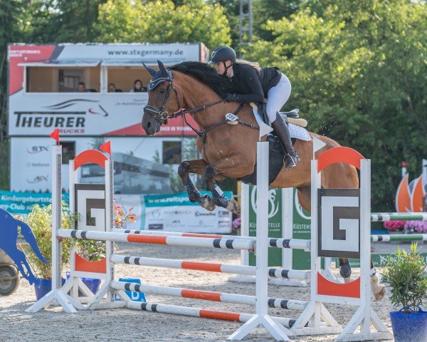 Springpferd Djohn Kw (Holsteiner, 2019, von Don van het Parelshof Z)