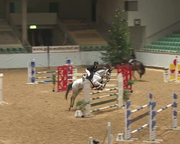 Reitturnier Kreuth/Opf. 2024