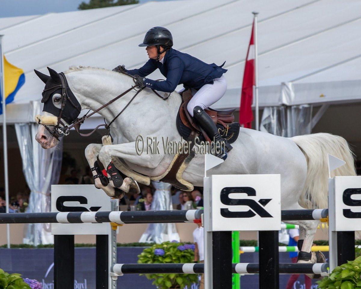 stallion Gfe Exocet du Houssoit (Belgium Sporthorse, 2010, from Ugano Sitte)