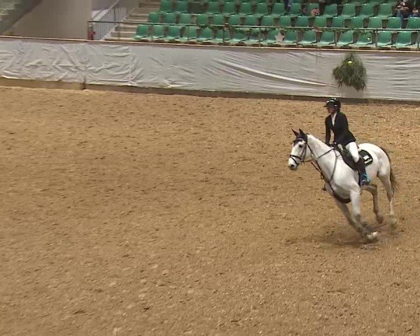 Reitturnier Kreuth/Opf. 2024
