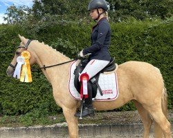 broodmare Coconut Kiss (German Riding Pony, 2010, from Clooney AT)