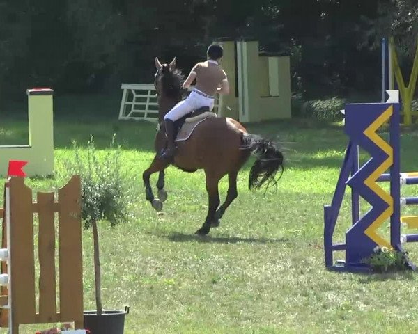 Radolfzell 2013 - Reit- und Springturnier des RC Bodenseereiter