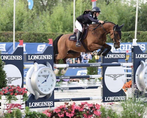 jumper Baloo D (Luxembourg horse, 2010, from Baloubet du Rouet)